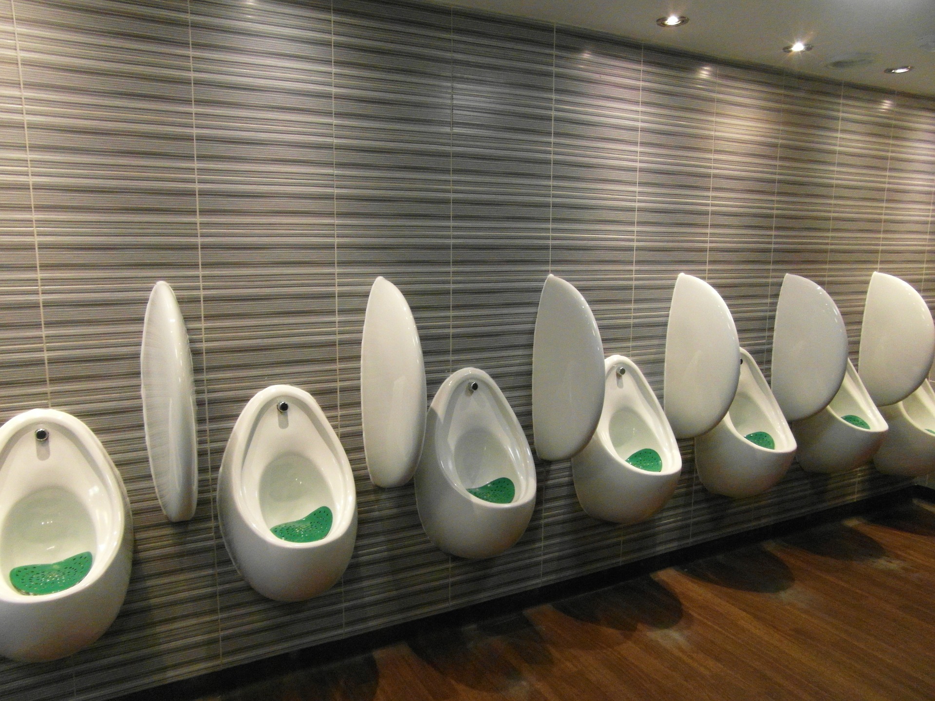 urinal-1666092_1920