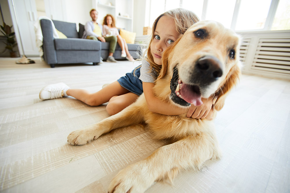 dog-floor